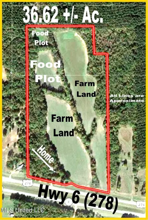 14456 6 Hwy, Thaxton, MS 38871