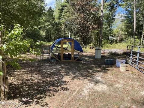 114 Hickory Nut Ln, Lucedale, MS 39452 photo 6