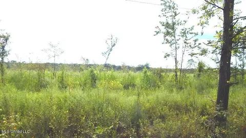 400 Coleman Rd, Thaxton, MS 38871 photo 8