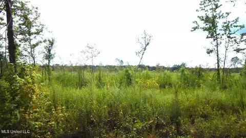 400 Coleman Rd, Thaxton, MS 38871 photo 7
