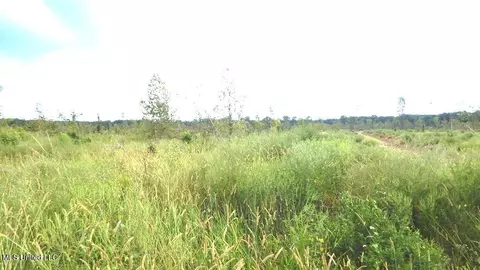 400 Coleman Rd, Thaxton, MS 38871 photo 6