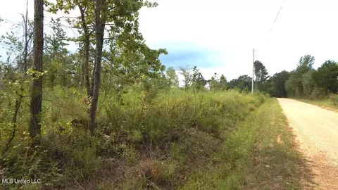 700 Coleman Rd, Thaxton, MS 38871 photo 5