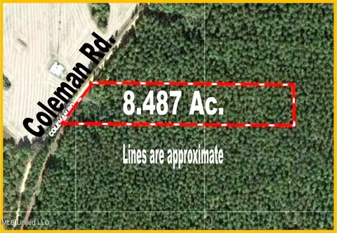700 Coleman Rd, Thaxton, MS 38871 photo 2