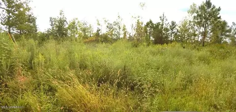 700 Coleman Rd, Thaxton, MS 38871