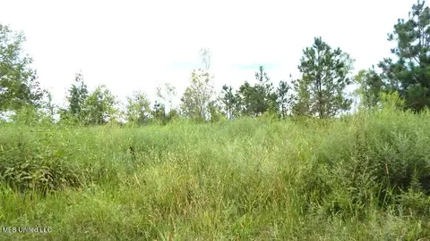 700 Coleman Rd, Thaxton, MS 38871 photo 7