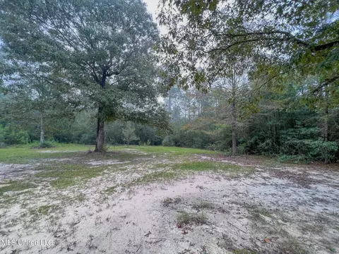 21601 Mcdowell Rd, Saucier, MS 39574 photo 4