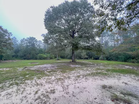 21601 Mcdowell Rd, Saucier, MS 39574 photo 3