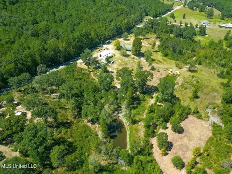 83 Derrick Rd, Wiggins, MS 39577 photo 37