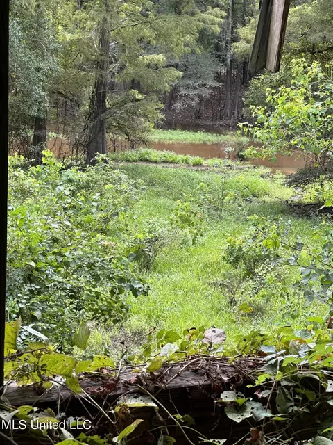 126 Deer Lane Ln, Lucedale, MS 39452 photo 7