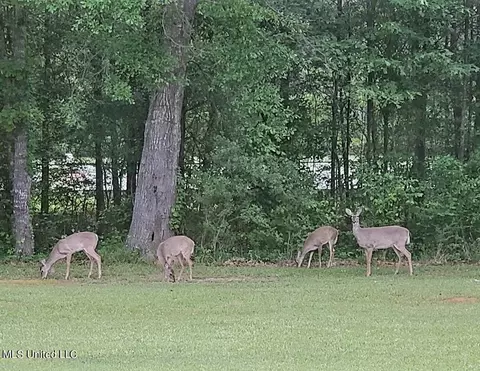 603 Absalom Cv, Terry, MS 39170 photo 42