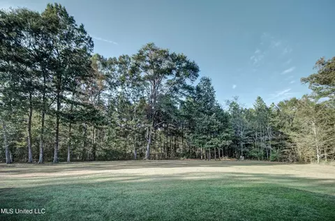 603 Absalom Cv, Terry, MS 39170 photo 41