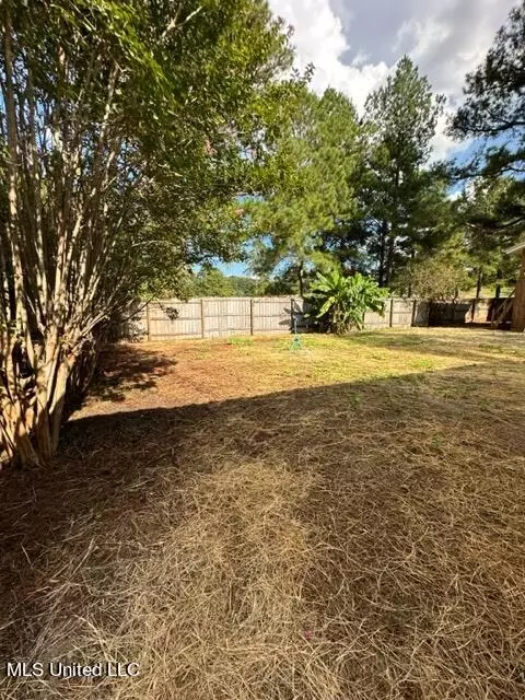 3323 E Lisa Dr, Pearl, MS 39208 photo 43