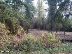 02 Old Gravel 49, Mendenhall, MS 39114