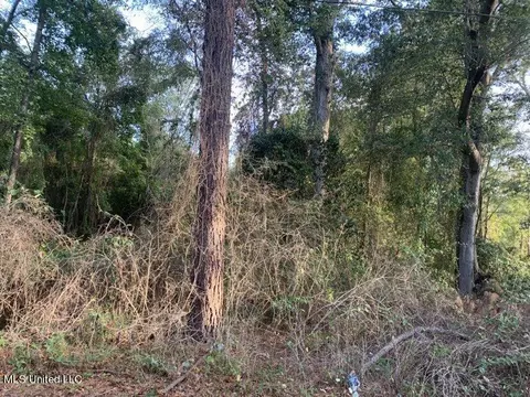 01 Old Gravel 49, Mendenhall, MS 39114