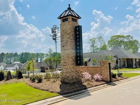 427 Crossvine Pl, Madison, MS 39110
