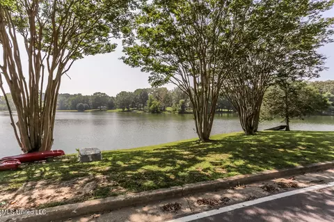 6750 E Lake Forest Dr, Walls, MS 38680 photo 4