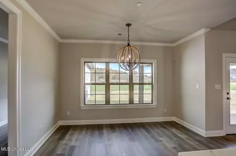 4704 Taylor Trl, Hernando, MS 38632 photo 20