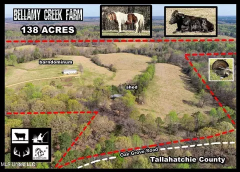 753 Oak Grove Rd, Charleston, MS 38921