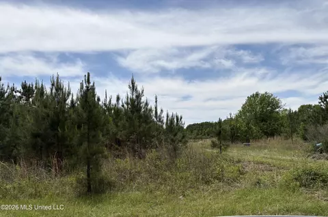 Finney Road, Canton, MS 39046 photo 3