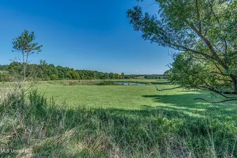 243 Thorn Dr, Grenada, MS 38901 photo 64