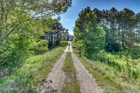 243 Thorn Dr, Grenada, MS 38901 photo 5