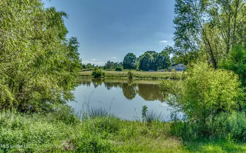 243 Thorn Dr, Grenada, MS 38901 photo 54