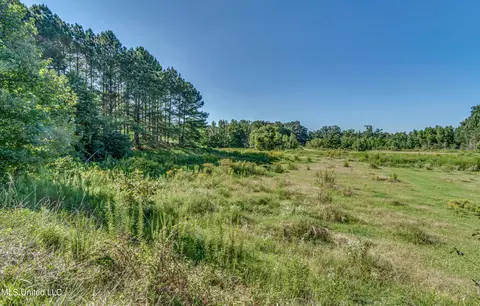 243 Thorn Dr, Grenada, MS 38901 photo 65