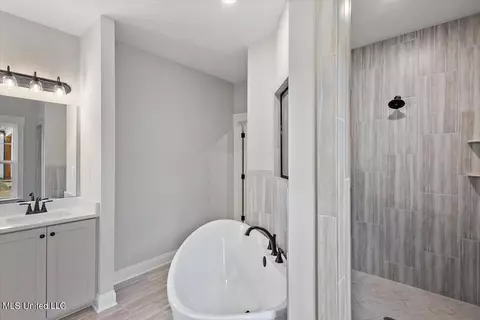 Bath - 1244 Creekside Ln, Hernando, MS 38632 photo 6 of 8