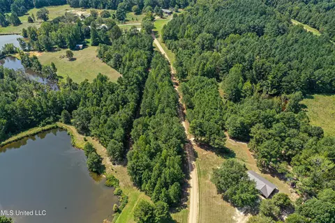 Perry Road, Ackerman, MS 39735 photo 13