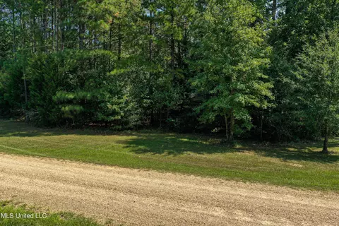 Perry Road, Ackerman, MS 39735 photo 5