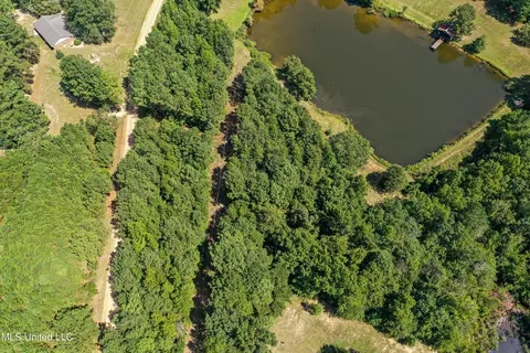 Perry Road, Ackerman, MS 39735 photo 15