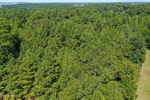 Perry Road, Ackerman, MS 39735 photo 17
