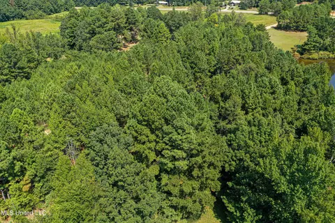 Perry Road, Ackerman, MS 39735 photo 18