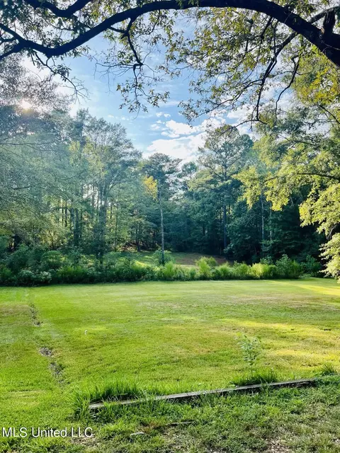 215 Trudy Ln, Florence, MS 39073 photo 9