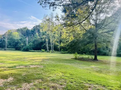 215 Trudy Ln, Florence, MS 39073 photo 8