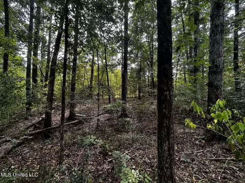 Other - 14924 Highway 35, Kosciusko, MS 39090 photo 7 of 11