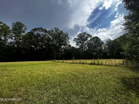 Exterior - 14924 Highway 35, Kosciusko, MS 39090 photo 3 of 8