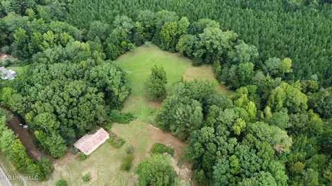 View/Area - 14924 Highway 35, Kosciusko, MS 39090 photo 2 of 3