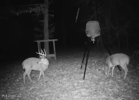Other - 14924 Highway 35, Kosciusko, MS 39090 photo 10 of 11