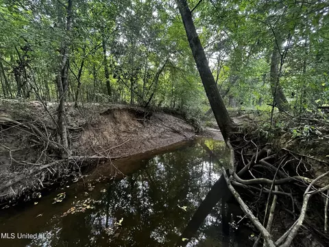 View/Area - 14924 Highway 35, Kosciusko, MS 39090 photo 3 of 3