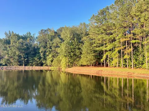 Robinson Springs Rd Road, Flora, MS 39071