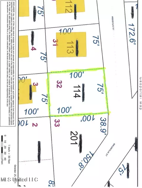 Hibiscus Street, Waveland, MS 39576