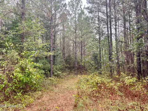 Henry Cannon Rd Road, Braxton, MS 39044