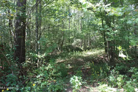 1198 Red Banks Rd, Holly Springs, MS 38635