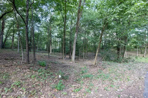 8750 Bobwhite Dr, Hernando, MS 38632 photo 1