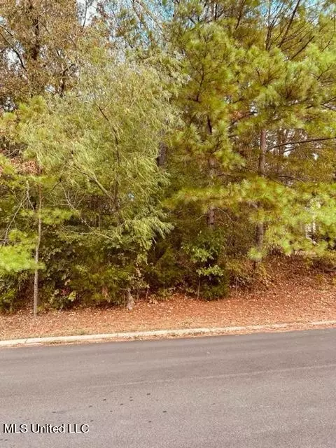 106 Annandale Pkwy, Madison, MS 39110
