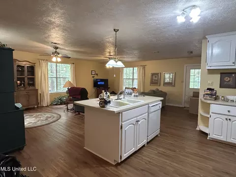 2255 Palestine Rd, Picayune, MS 39466 photo 21