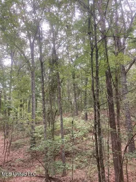 0 Boswell Rd, Mount Pleasant, MS 38635