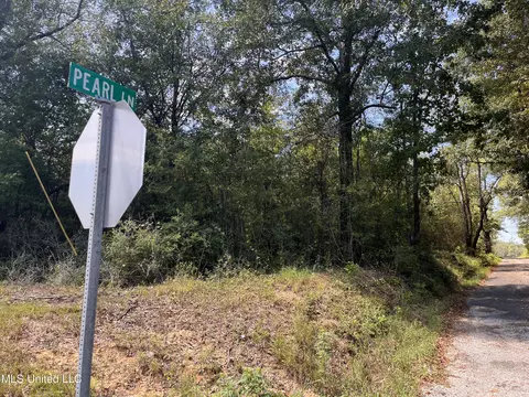 Gladhurst Road, Magnolia, MS 39652 photo 2