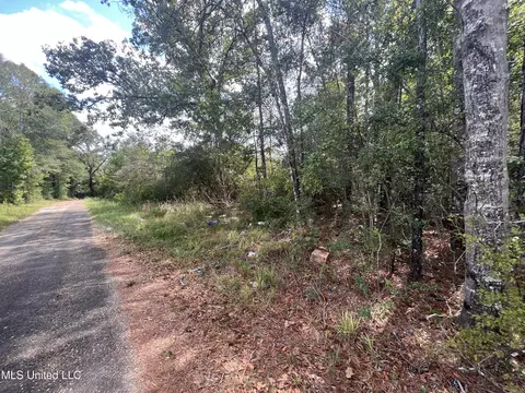 Gladhurst Road, Magnolia, MS 39652 photo 4